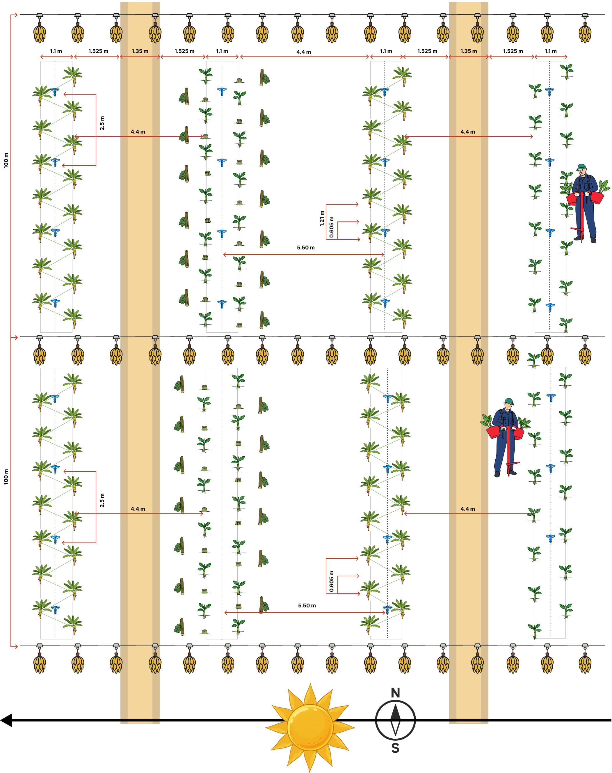 CropTiming Layout